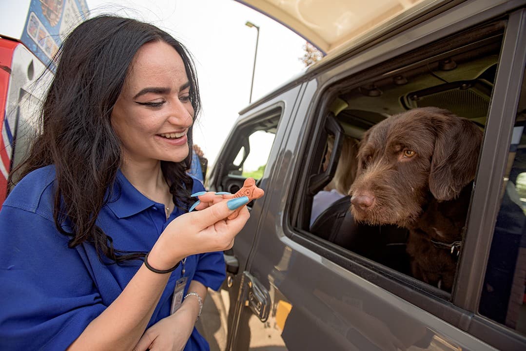 A team member saying hello to a dog in the passenger seat